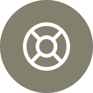 A lifebuoy icon in white on a gray circular background. The lifebuoy has four segments and a circular ring in the center.