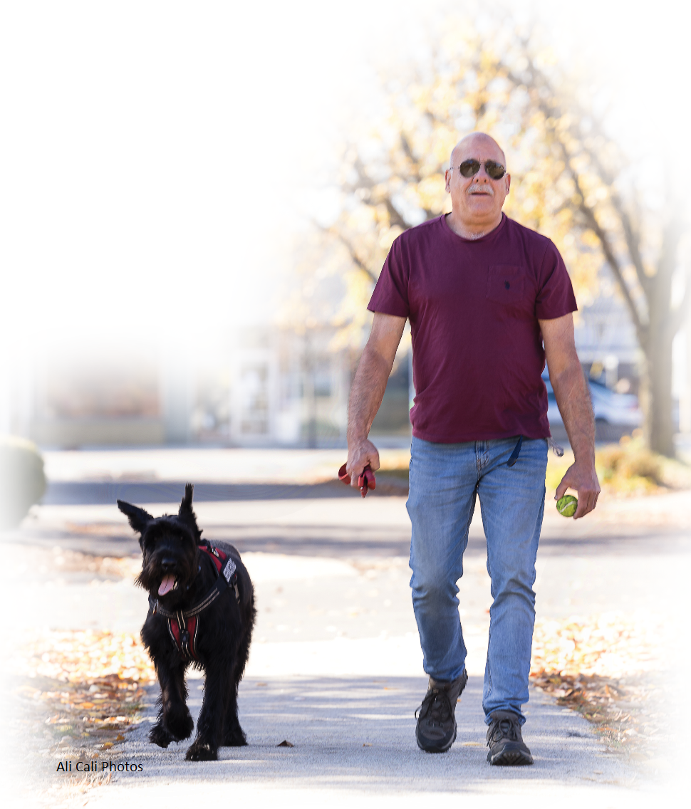 A man in a maroon shirt and jeans walks a large black dog on a leash outside. The dog wears a harness, and the trees behind them have autumn leaves. The man holds a ball and a red object, and both appear content.