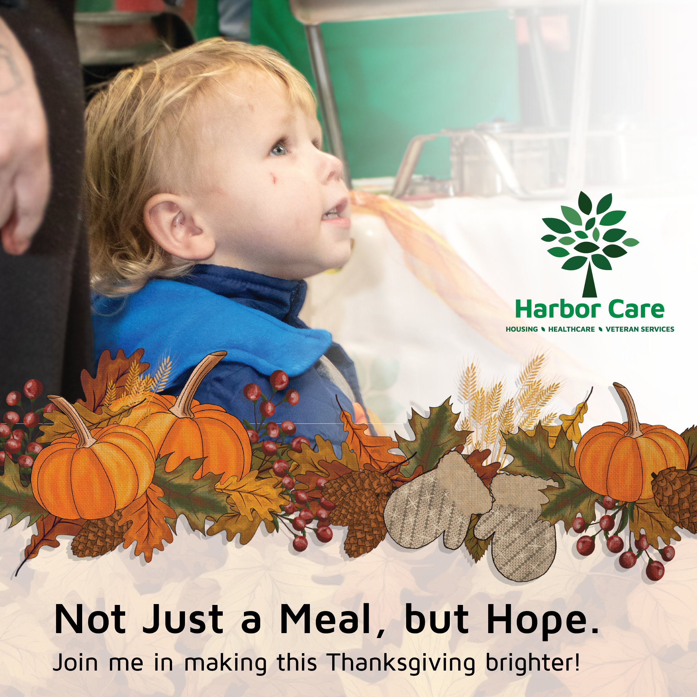 Launch Post 2 A young child in a blue jacket looks upward; festive autumn decorations and the Harbor Care logo appear with the text, Not Just a Meal, but Hope. Join me in making this Thanksgiving brighter!.